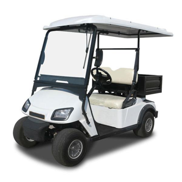 Raysince factroy directly supply golf trolley electric 2 seats mini golf buggy good quality electric golf cart