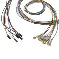 Dupont 2 électrodes d'électroencéphalographie plaquées par or de fils d'électrodes de Pin Plug Cup Type EEG