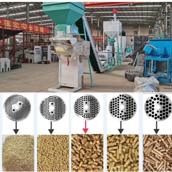 High Efficiency Feed Pellet Production Line 195kw Poultry Making Machine