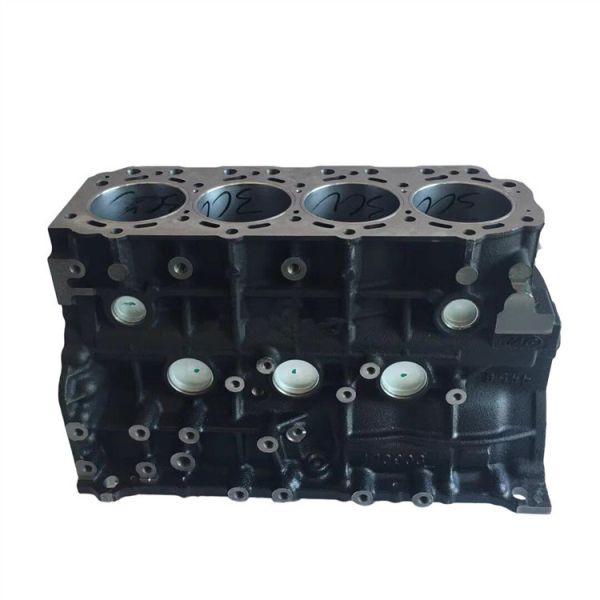JAC HFC4DA1 Xingrui 1002100FA020XZB1 Cylinder Block for OEM NO 1002100FA020XZB1 Truck