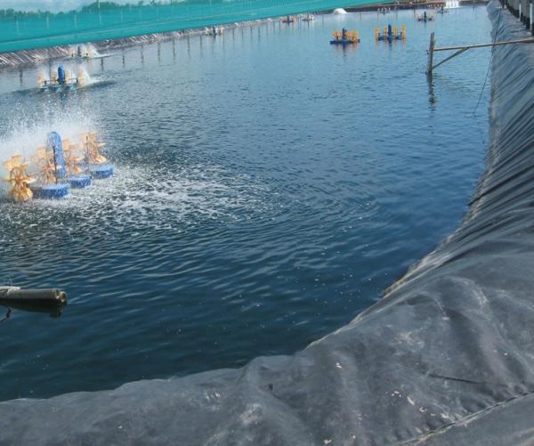 Outdoor HDPE Geomembrane Pond Liner Reservoir Liner 500 Micron 750 Micron Polyethylene
