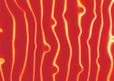 4-12MM Printed Laminated Glass Backsplash 300X300MM