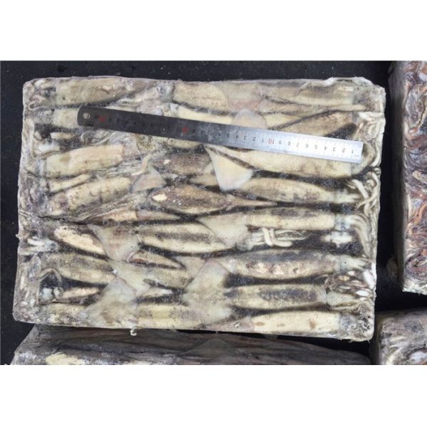 Кальмар Illex Argentinus свежий замороженный