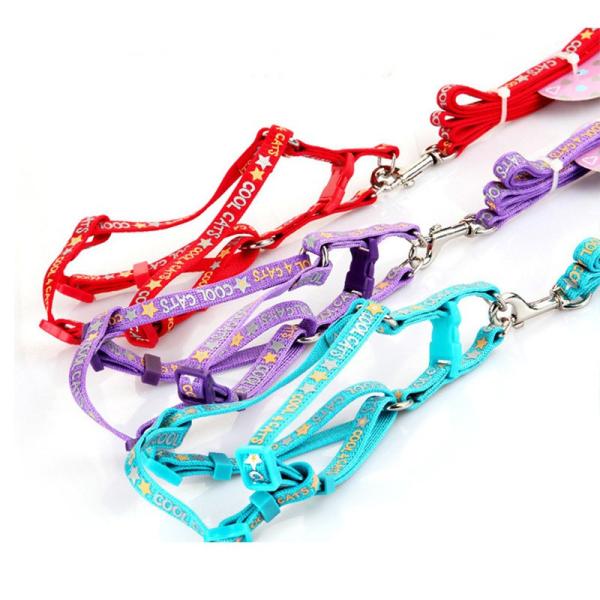Anti ajustáveis interrompem Cat Traction Rope S M L XL