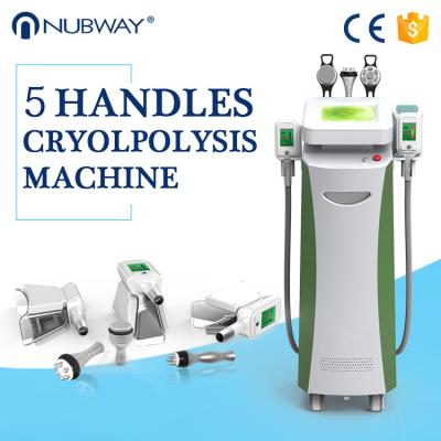 Vacuum cavitation system beauty salon equipment cryolipolysis professional body slimming machine