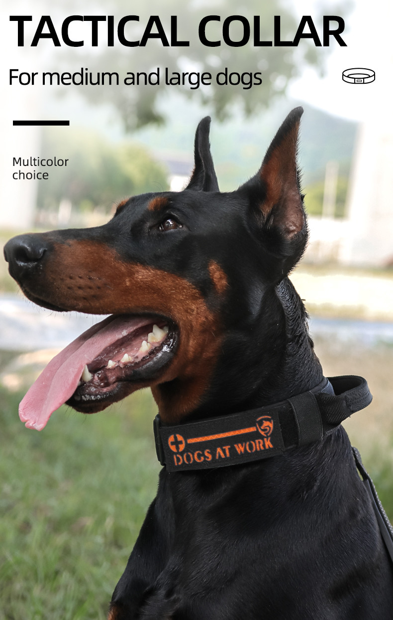 Outdoors Pet Training Medium And Big Dog Tactical Collar  Adjustable 38 - 48cm