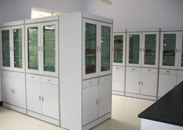 2 Door Computer Lab Furniture , 1 Mm Cold Rolled Steel Storage Cabinets