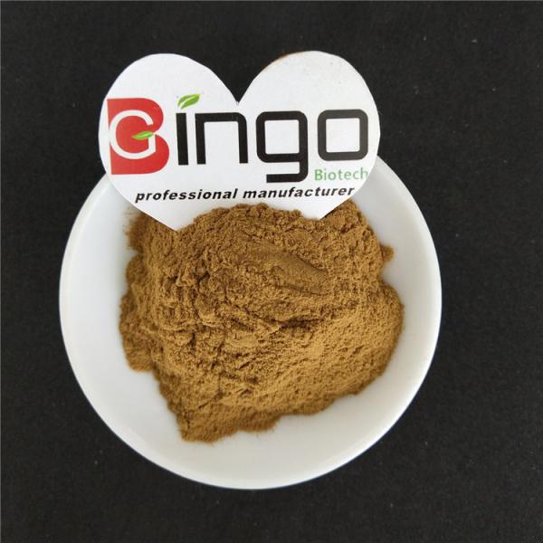 High quality Nettle root Urtica dioca 1% Nettle extract/nettle herb extract as material for pharmaceuticals and health f