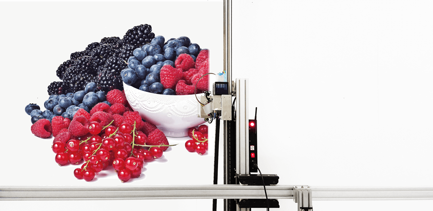 Внешняя вертикаль оформления настенной росписи 3Д направляет для того чтобы огородить принтер