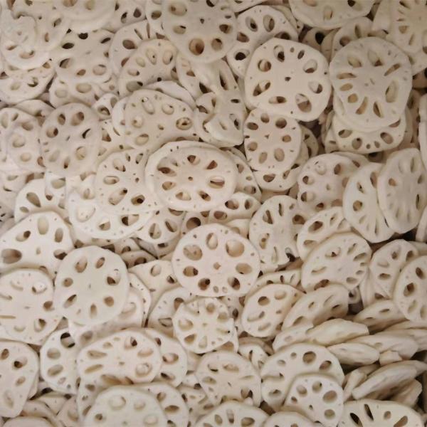 新作 凍結 さ れ た 蓮 の 根 の 切片 や 切片 を 良い 価格 で