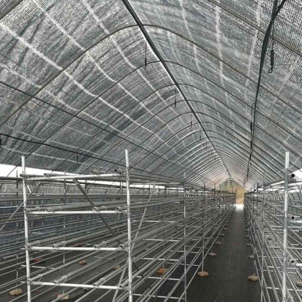 Strong Polytunnel Greenhouse 3m X 2m 9m 10m Growing Mushroom Natural Ventilation Shade Net
