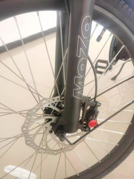 48v 23ah 48 Volt Bicycle 48v 16ah 17ah Ebike 48v 250w  Two Wheel City Bike Arrow 10