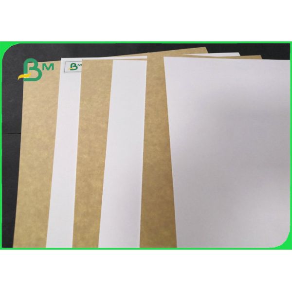 250gsm Clay Coated Kraft Back Paper blanco para el envasado de alimentos 790 * 1090m m