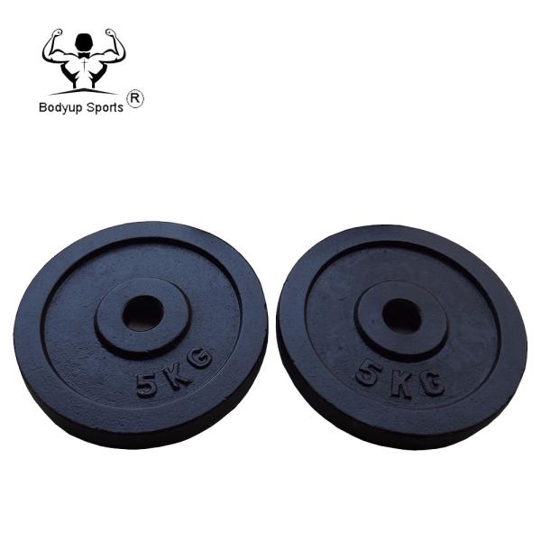 Black Painting Cast Iron Weight lifting weight Plate For Gym