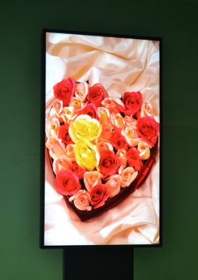 75 inch Indoor Digital Signage Displays , High Brightness for Store Window Advertising