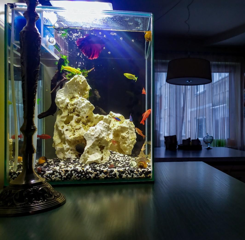 10 mm 12mm 8+8mm Low Iron Clear Tempered Laminated Glass Used  For Aquarium Glass Fish Tank