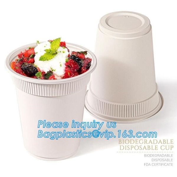 Коробка бенто пластикового устранимого пластикового взятия качества еды отсутствующая с 4 отсек, пищевой контейнер контейнеров пластиковый течебезопасный