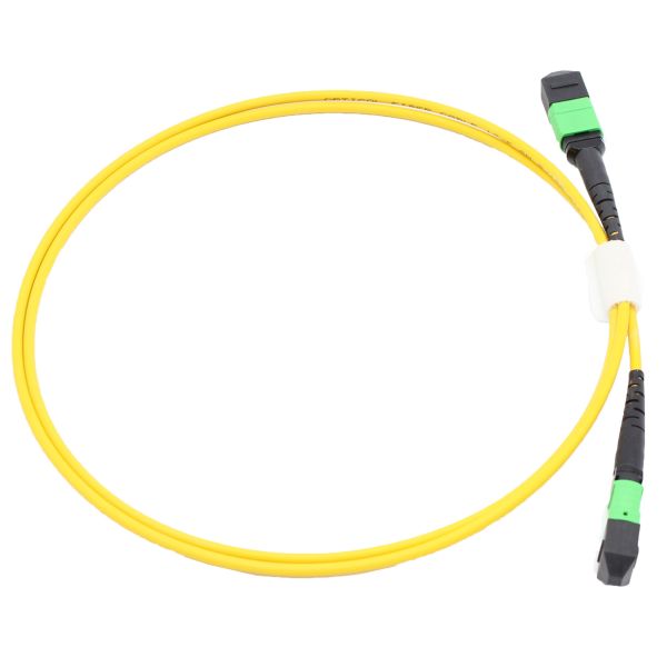FTTH MPO Patch Cord 8 12 24 Core Om3 Om4 Fiber Optic MTP Cable Male Female for Indoor Outdoor