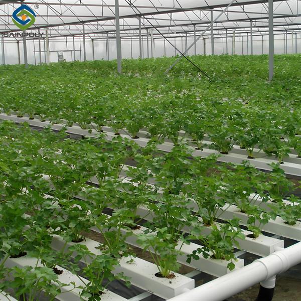 Agricultural Multispan Greenhouse Complete Hydroponic Nft Greenhouse
