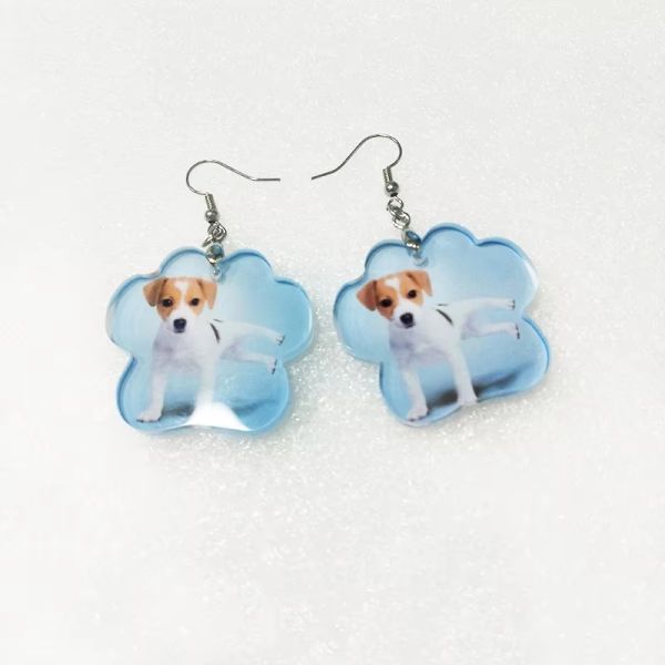 Blank Sublimation Acrylic Earrings For Custom Girl Gifts