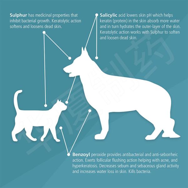 220ML Chlorhexidine Ketoconazole Shampoo For Dogs Cats And Horses