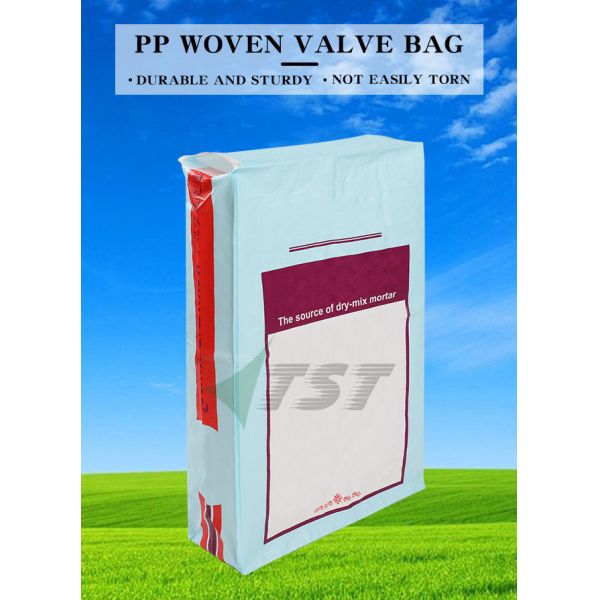 Automatic Filling PP Woven Valve Bag Closed Mouth Selfish Smooth Valve Sacks