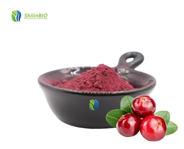 Pure Natural Cranberry Extract Powder Cranberry Fruit Powder Anthocyanin Cranberry Powder