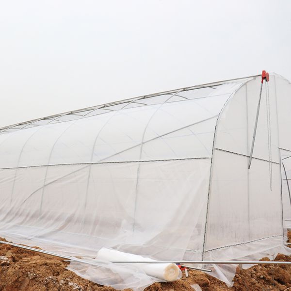 Anti Aging Film Micron Anti Uv Plastic Greenhouse Agriculture Vegetables Planting