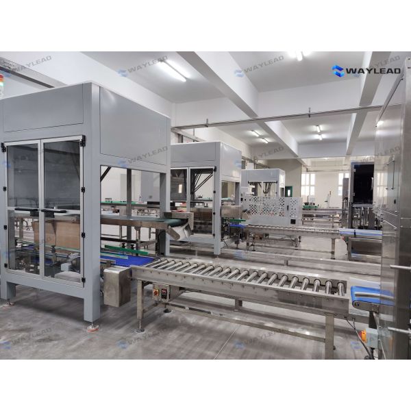 Automatic Spider Hand Robot Carton Case Packer Packing Machine