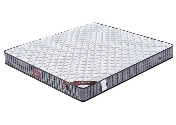 High Density Double Sponge Bed Mattress Medium Hardness Detachable Anti Mite