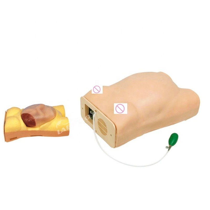 Human Life Size Pregnancy Manikin Auscultation Teaching Simulator for Medical Science