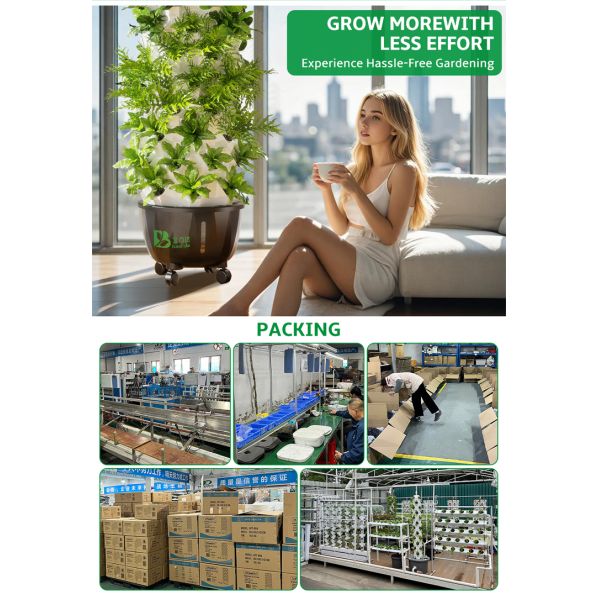 Baolida 6 Layers 48 Holes Vegetable Farming Hydroponics Equipment Grow Cultivo Hidroponic Vertical System