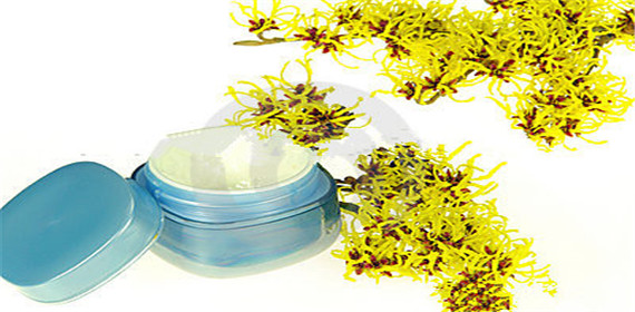 Water Soluble Witch Hazel P.E./Herbal Hamamelis Virginiana Extract for Cosmetic