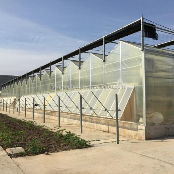 4m Section Polycarbonate Greenhouse for Vegetable Fruits and Flowers Commercial Grade