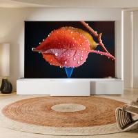 Telescopic Laser TV Cabinet Full Motion Short Throw Projector Entertainment Center White Motorized TV Cabinet