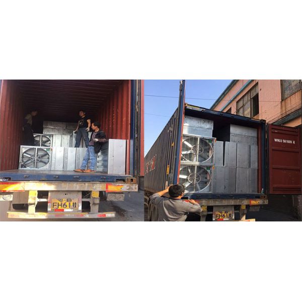 wall mounted motor driven directly exahsut fan ventilation fan