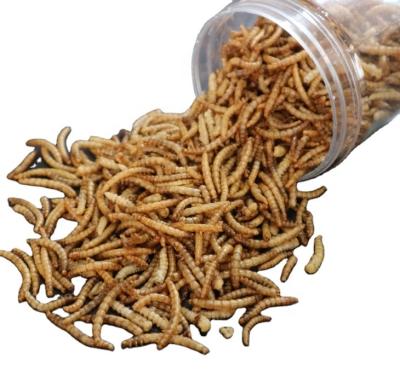 Sino Crown Mealworms Fish Food With High Calcium Nutrition Facts For Dry And Cool Storage