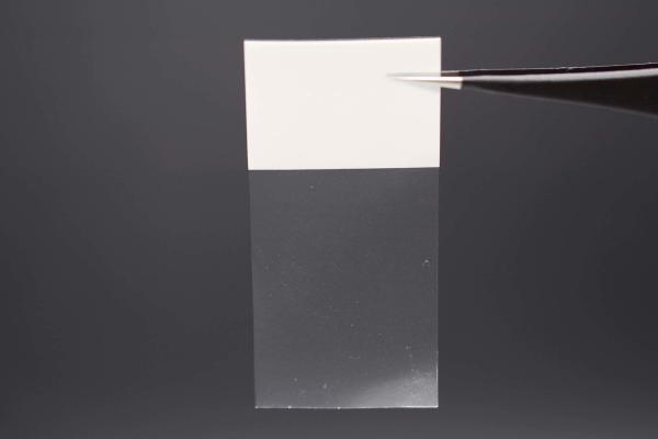 30x60-20mm 2mil A4 White Matte Translucent Water Resistant Vinyl Cable Label