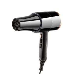 Professional Salon Hair Dryer