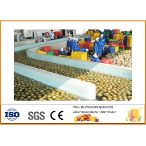Pineapple Processing Line