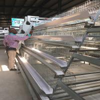 20000 pássaros mergulham o equipamento das aves domésticas, gaiolas da camada do quadro do GV 3mm A