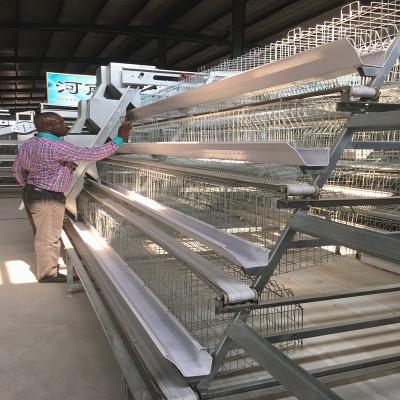 20000 pássaros mergulham o equipamento das aves domésticas, gaiolas da camada do quadro do GV 3mm A