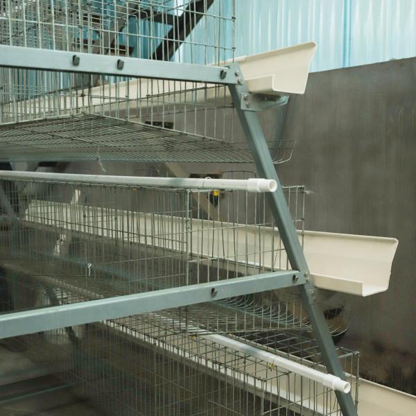 A Type Battery Layer Automatic Egg Poultry Farming Equipment System Chicken Cages for Poultry Farming