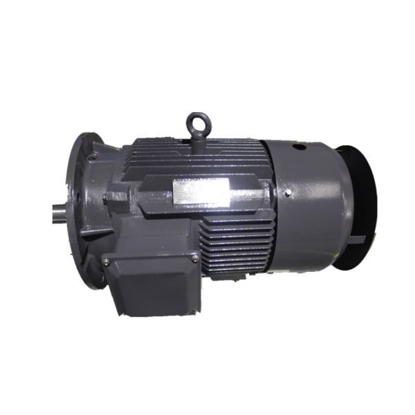 YE3 200L-4 30kW Three Phase Squirrel Cage Motor 1475RPM
