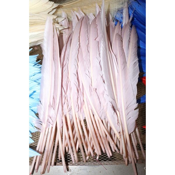 Valentine's Day Millinery Supplies Turkey Feather Quill for Worldwide Shipping