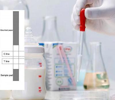 2-8 tiras de teste antibióticas de Quinolone do leite cru do ℃ do uso fácil da detecção