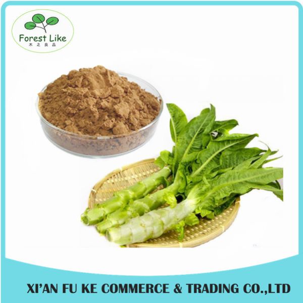 Manufacturer Supply Low Price Wild Lettuce Leaf Extract