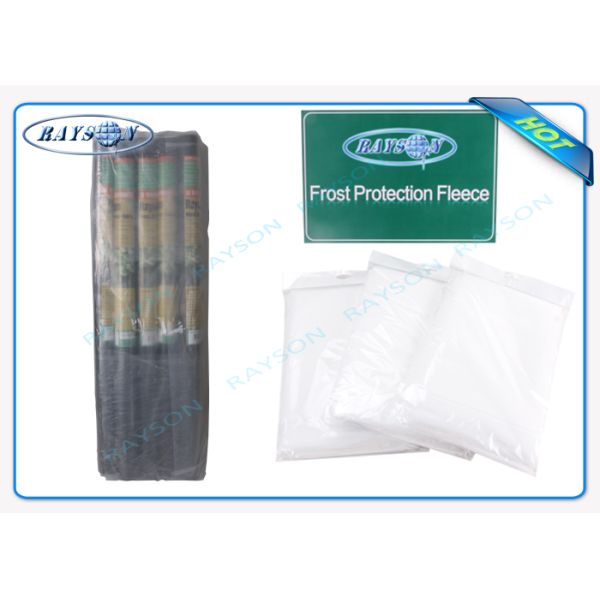 100% PP Raw Non Woven Landscape Fabric Protect Plant / Garden / Fruit / Weed Control