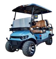 Carrinho de golfe motorizado de caminhada Eletrônico de peso leve Excursão de motociclista único Passeios turísticos