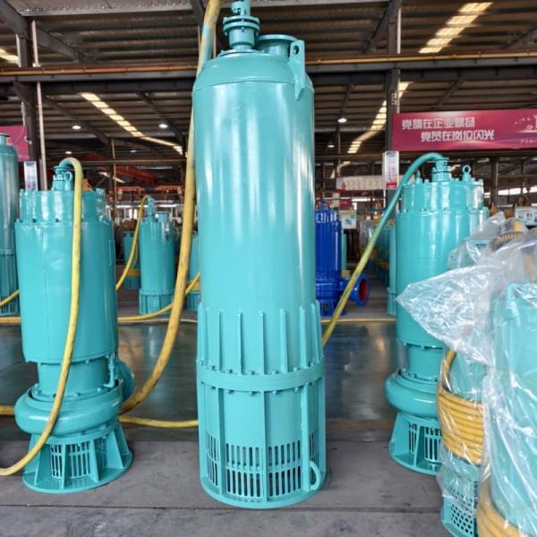 Explosion Proof Submersible Pumps 550m High Head Dewatering Pumps 315kW 230hp 100m³/H